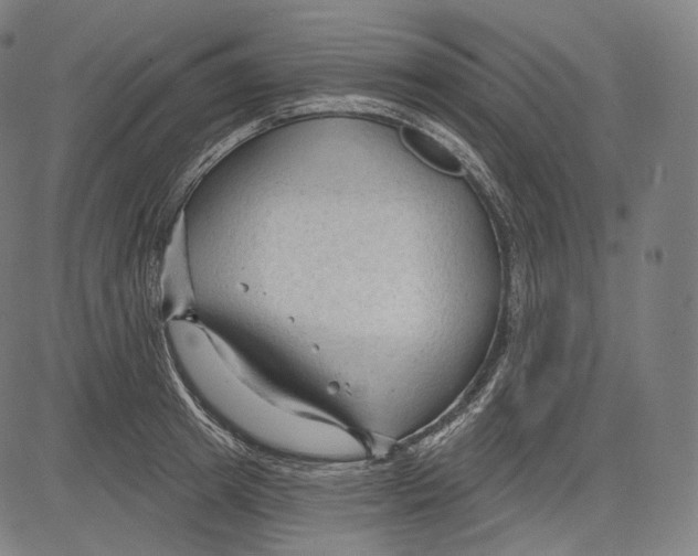 X0000083610849200703121601