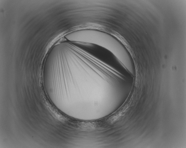 X0000083610850200703121601