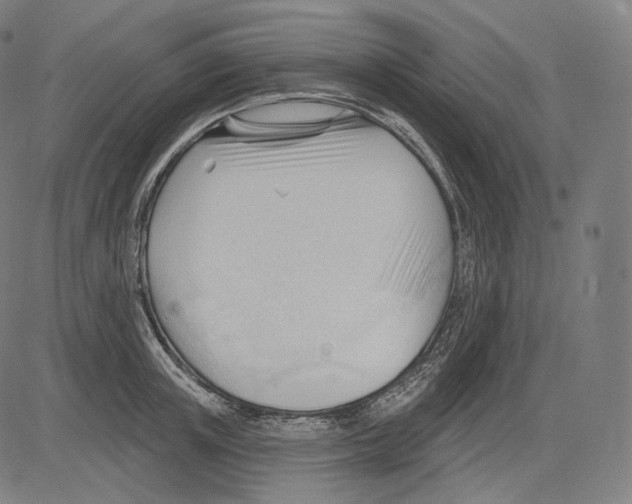 X0000083610851200703121601