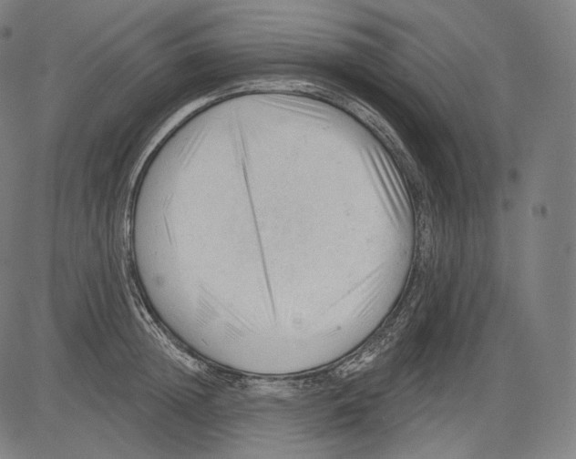 X0000083610852200703121601