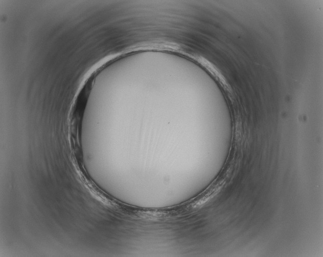 X0000083610854200703121601