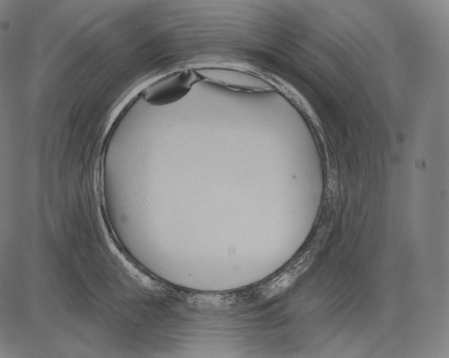 X0000083610855200703121601