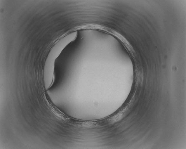 X0000083610857200703121601