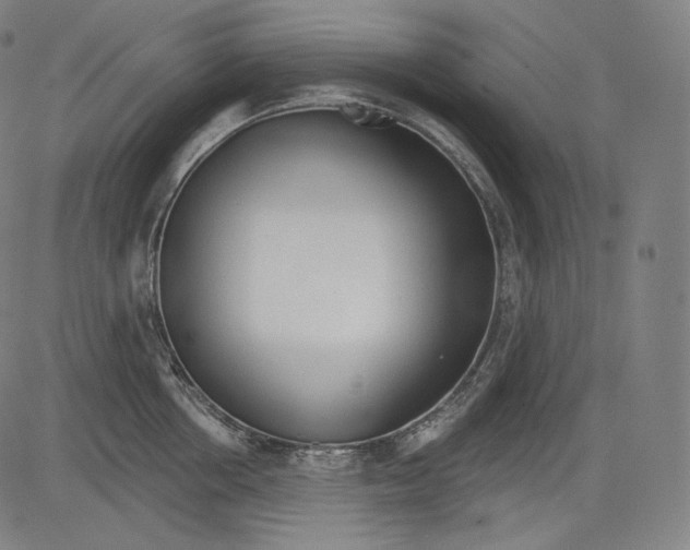 X0000083610858200703121601