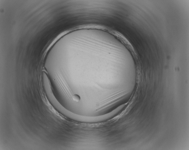 X0000083610860200703121601