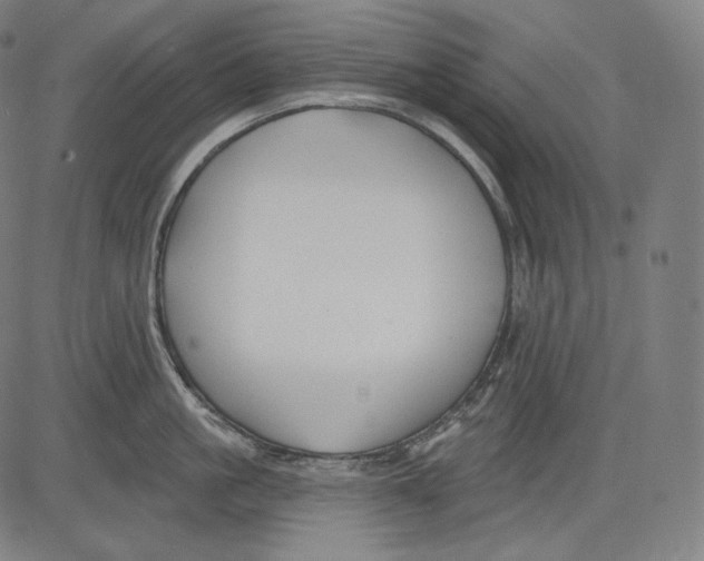 X0000083610861200703121601