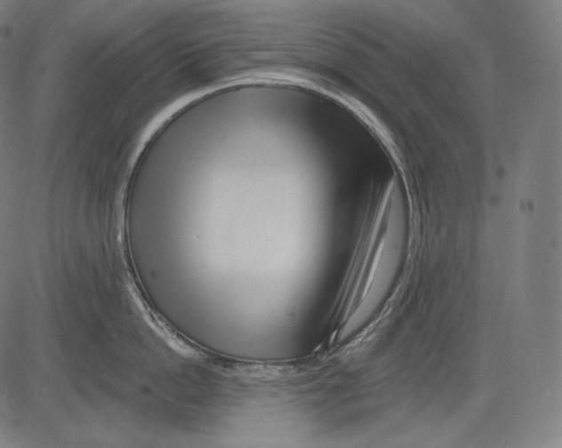 X0000083610862200703121601