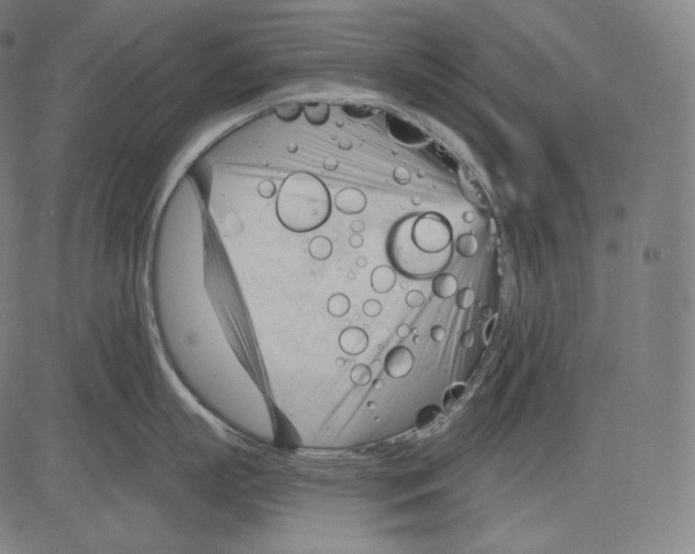 X0000083610863200703121601