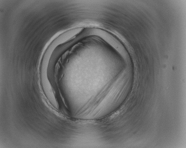 X0000083610864200703121601