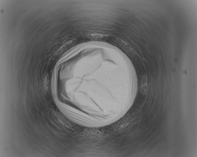 X0000083610866200703121600