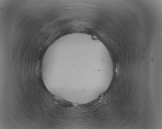 X0000083610867200703121600