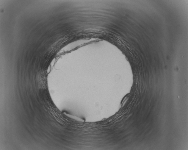 X0000083610868200703121600