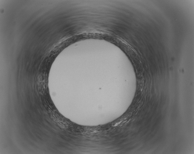 X0000083610870200703121600