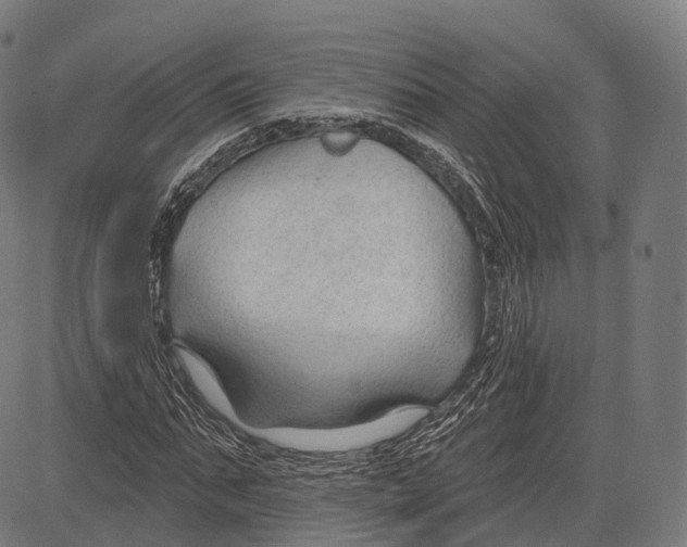 X0000083610871200703121600