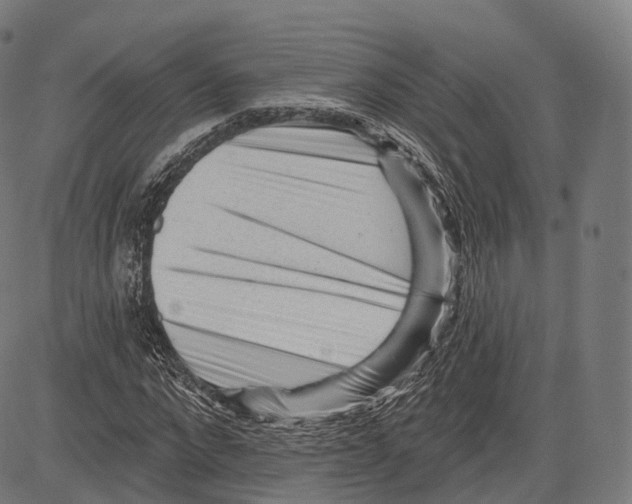 X0000083610872200703121600