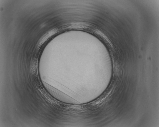 X0000083610874200703121600