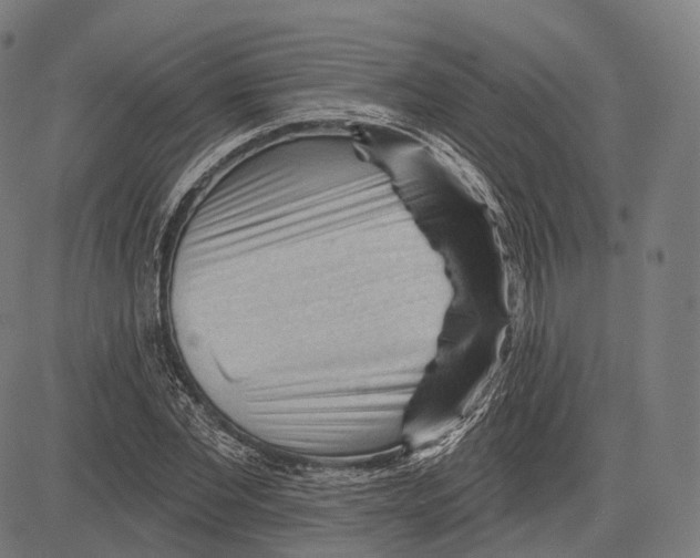 X0000083610877200703121600