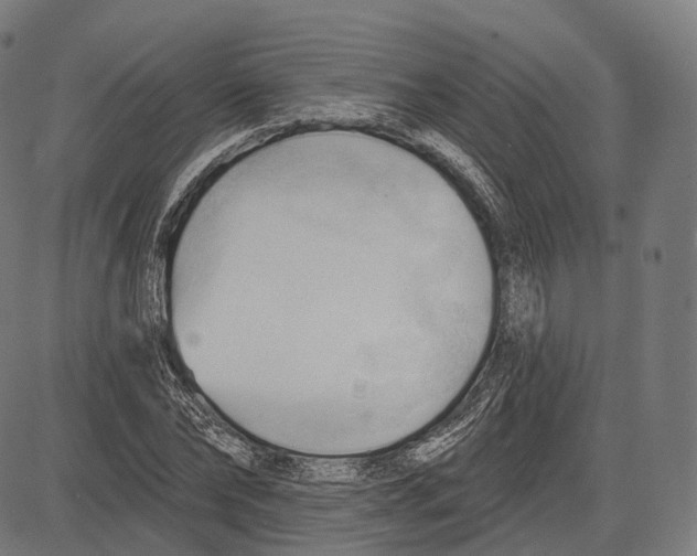 X0000083610878200703121600