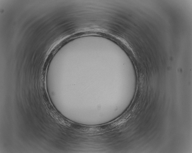 X0000083610879200703121600