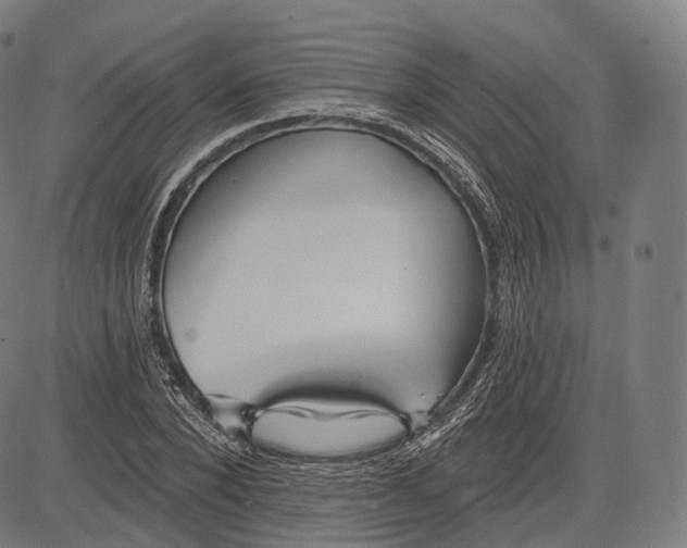 X0000083610880200703121600