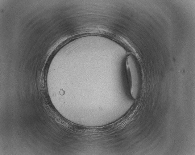 X0000083610883200703121600