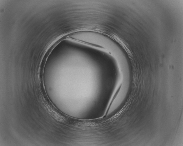 X0000083610884200703121600