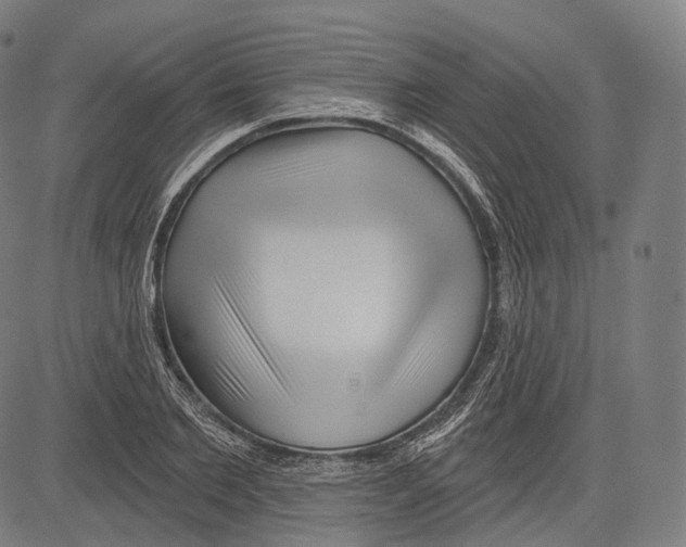 X0000083610885200703121600