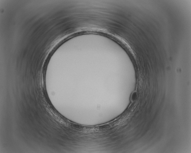 X0000083610887200703121600