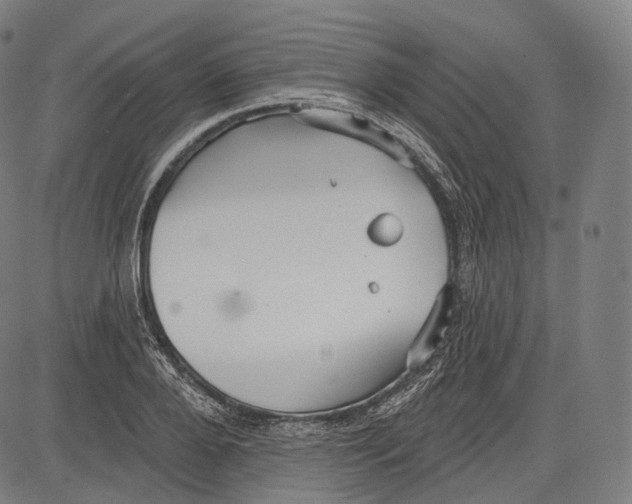 X0000083610888200703121600