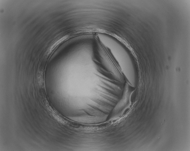 X0000083610889200703121600