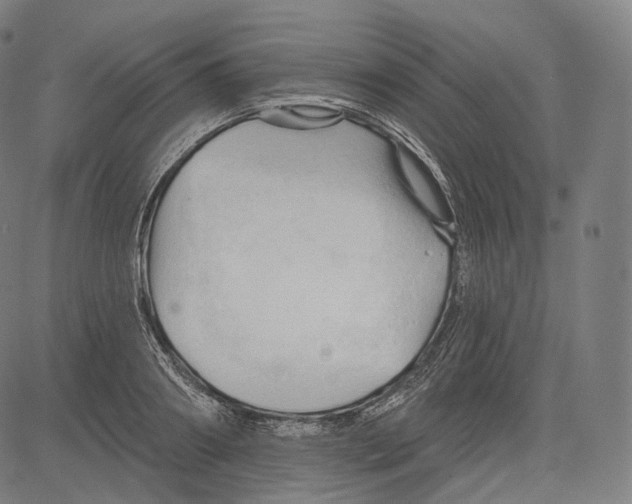 X0000083610890200703121600