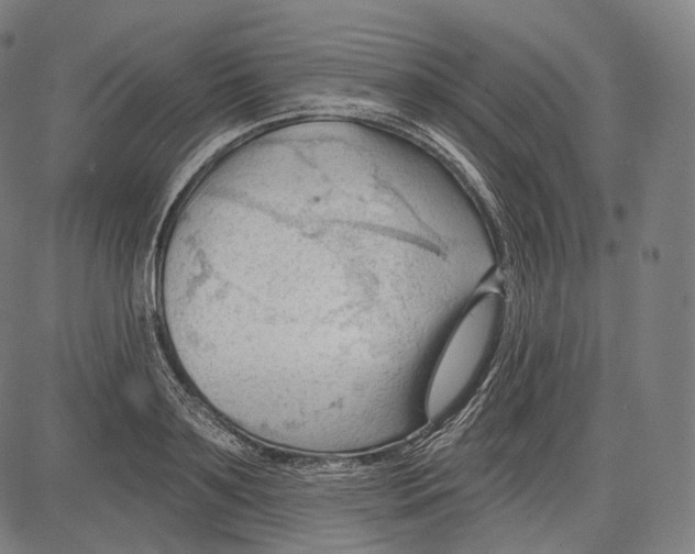 X0000083610891200703121559