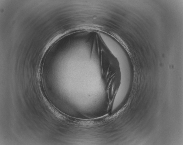 X0000083610893200703121559