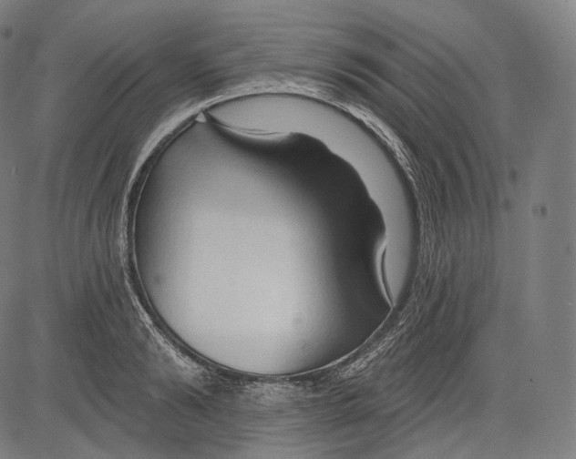 X0000083610894200703121559