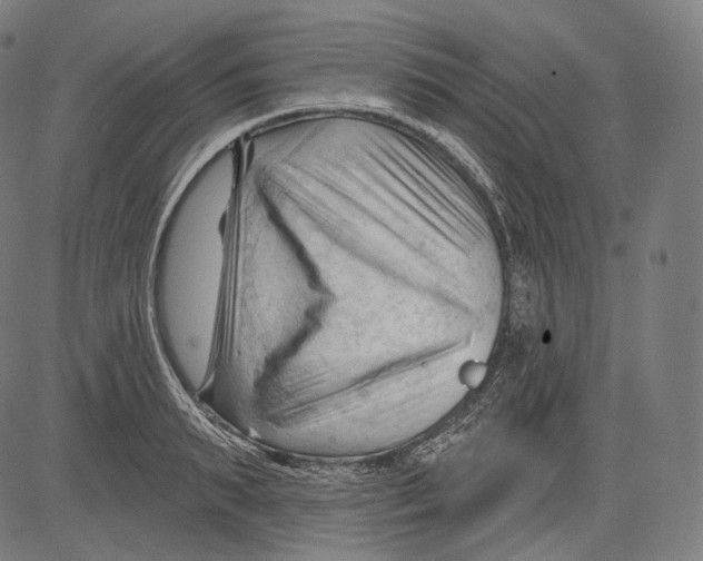 X0000083610895200703121559