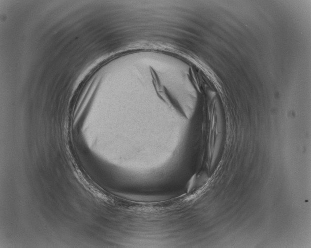 X0000083610896200703121559