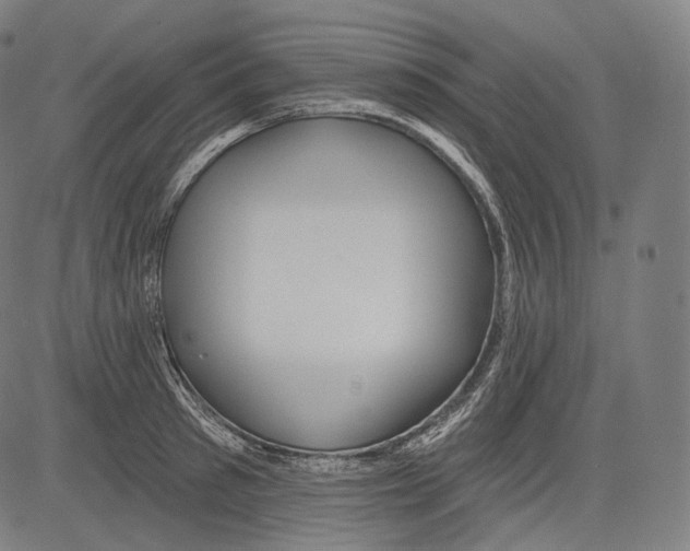 X0000083610897200703121559