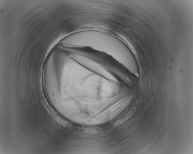 X0000083610899200703121559