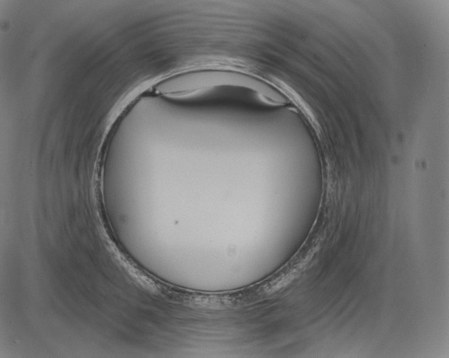 X0000083610901200703121559