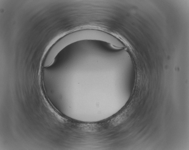 X0000083610902200703121559