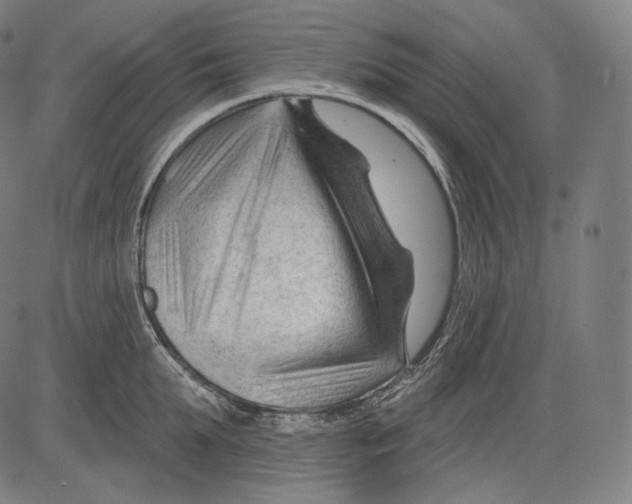 X0000083610903200703121559