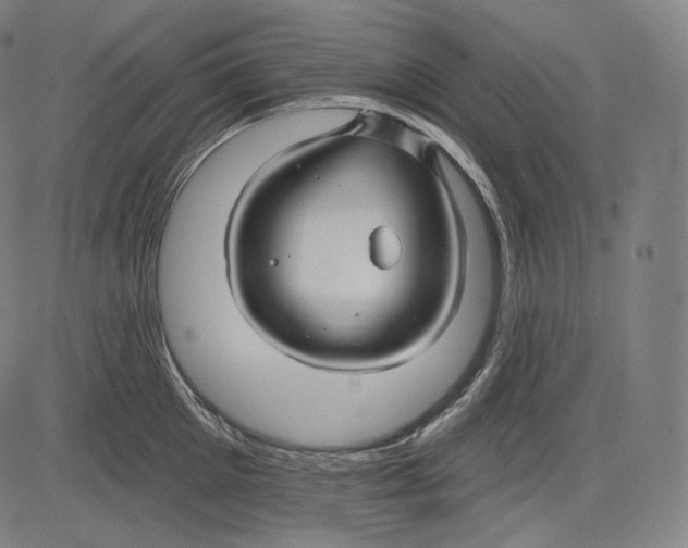 X0000083610905200703121559