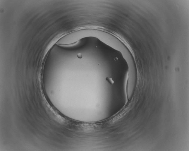 X0000083610906200703121559