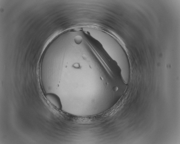 X0000083610907200703121559