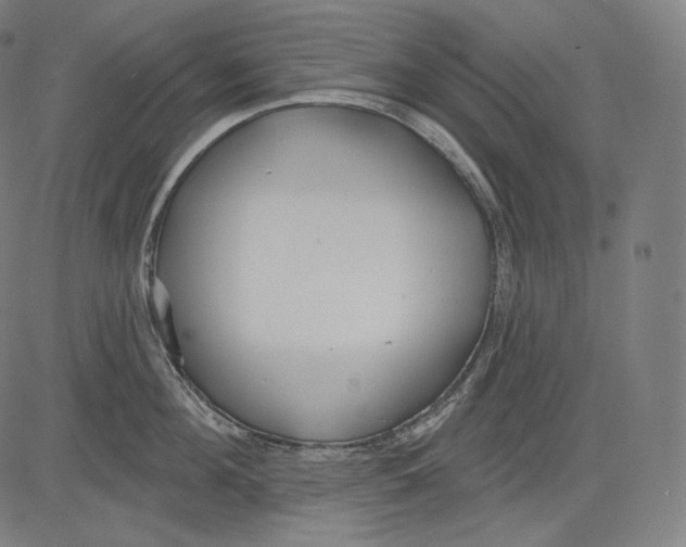 X0000083610908200703121559