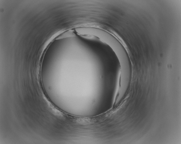 X0000083610909200703121559