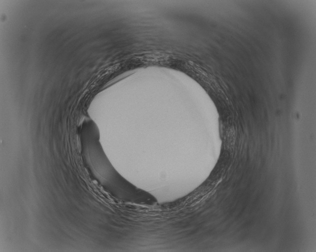 X0000083610913200703121558