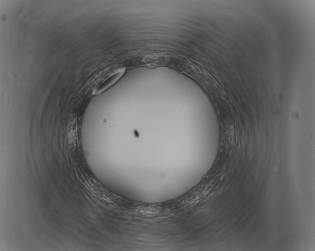 X0000083610914200703121558