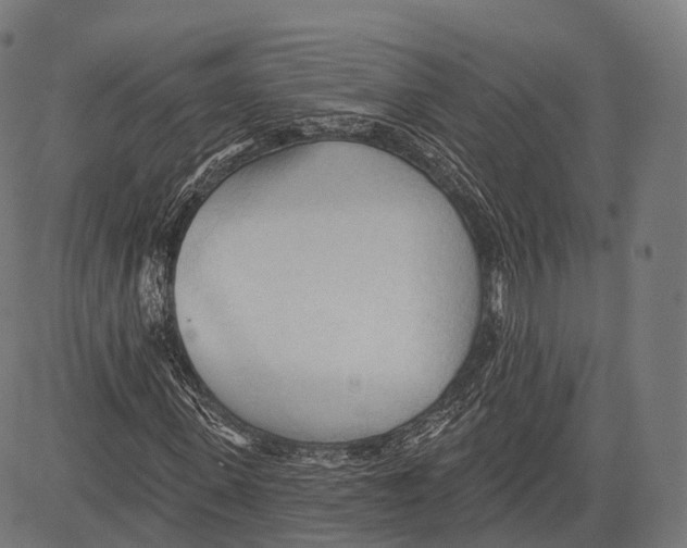 X0000083610915200703121558