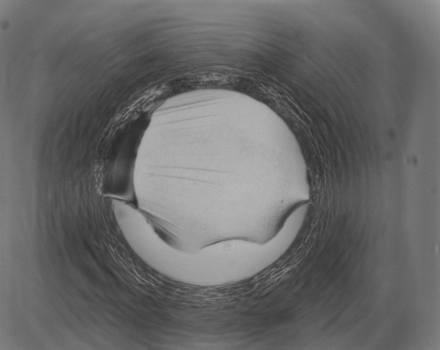 X0000083610916200703121558